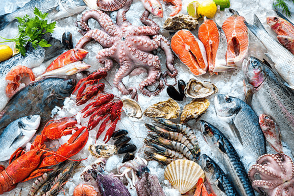 Morocco’s most demanded seafood products for export