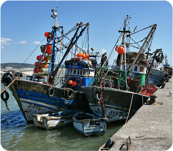 Traditional Moroccan fishing boat at sea