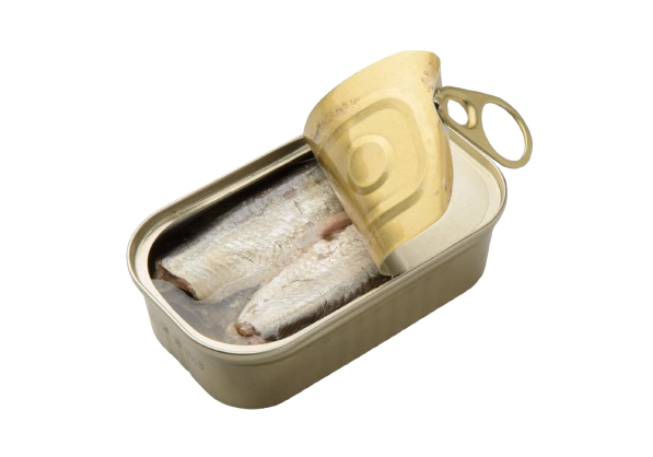 Moroccan canned sardines for export