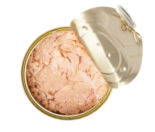 Moroccan canned tuna for export